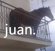 Foto perfil